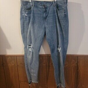 Lane Bryant Skinny Jeans Size 24R